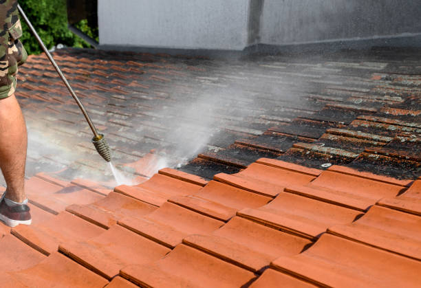 Best Best Pressure Washing Companies  in Salineville, OH